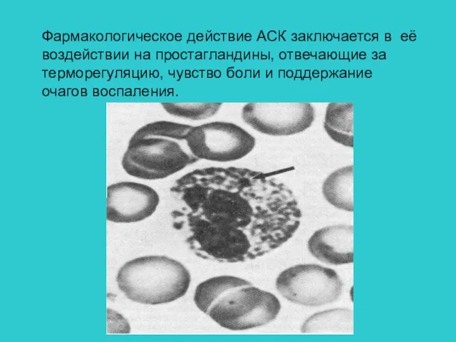 Фармакологическое действие АСК заключается в её воздействии на простагландины, отвечающие за терморегуляцию,