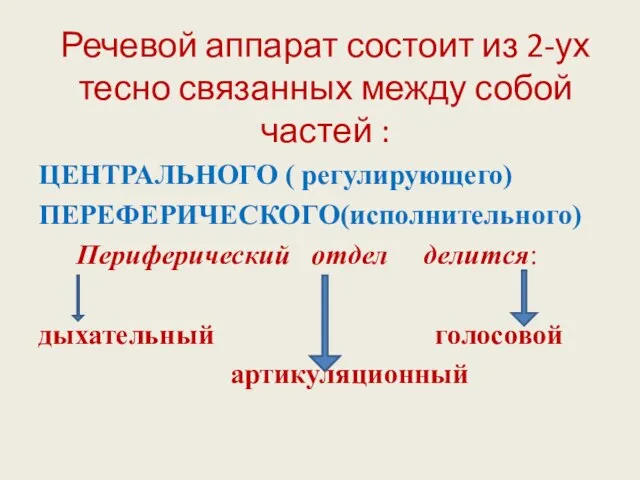 Речевой аппарат состоит из 2-ух тесно связанных между собой частей : ЦЕНТРАЛЬНОГО