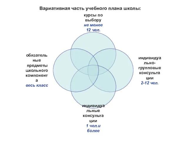 Вариативная часть учебного плана школы: