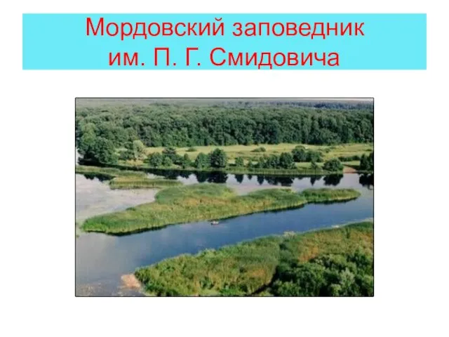 Мордовский заповедник им. П. Г. Смидовича