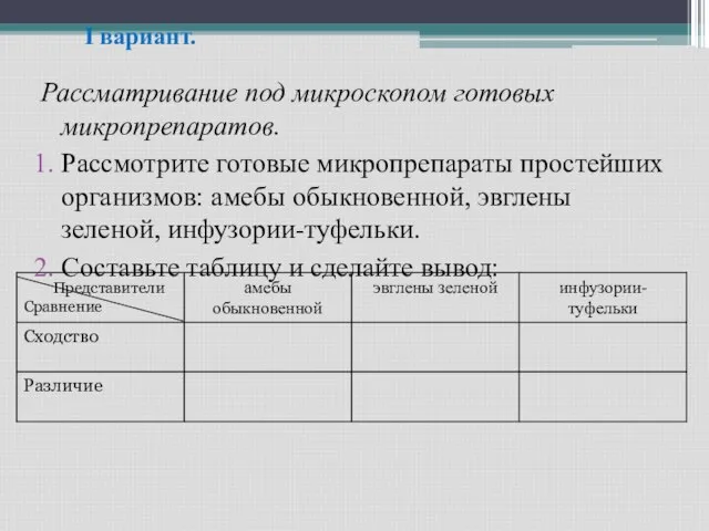 I вариант. Рассматривание под микроскопом готовых микропрепаратов. Рассмотрите готовые микропрепараты простейших организмов: