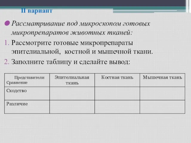 II вариант Рассматривание под микроскопом готовых микропрепаратов животных тканей: Рассмотрите готовые микропрепараты