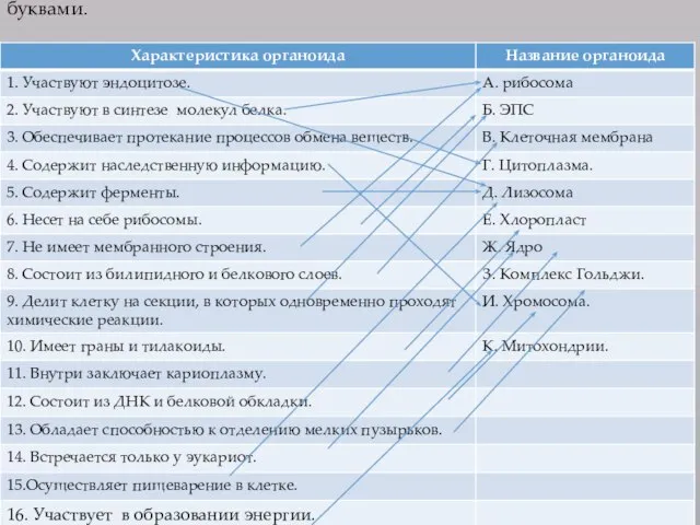 Задание. Установите соответствие между цифрами и буквами.