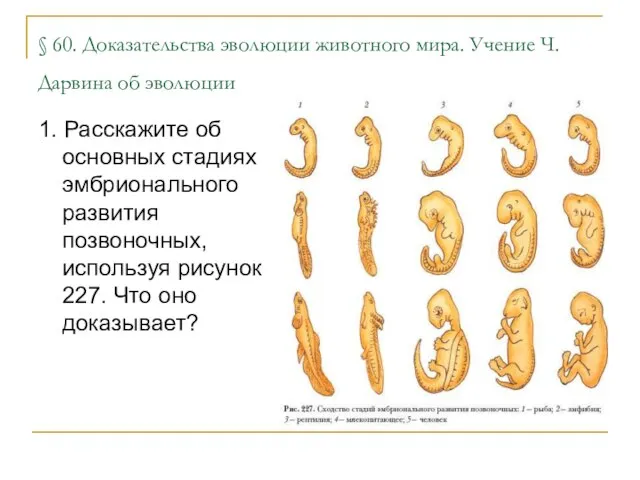 § 60. Доказательства эволюции животного мира. Учение Ч. Дарвина об эволюции 1.