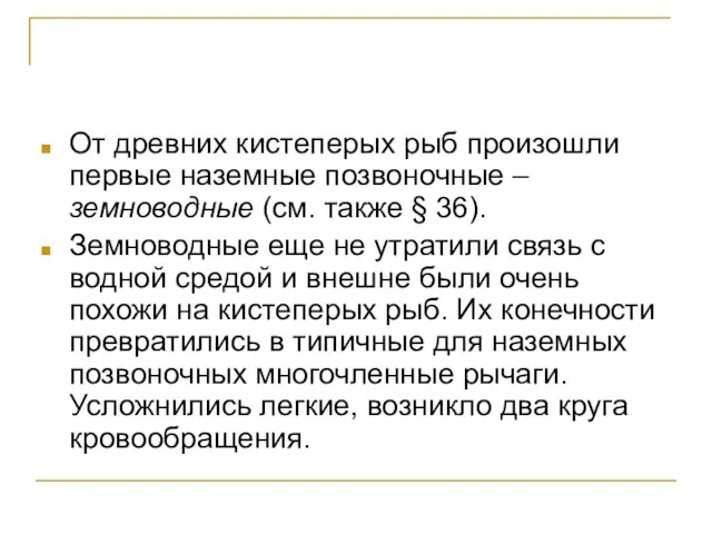 От древних кистеперых рыб произошли первые наземные позвоночные – земноводные (см. также