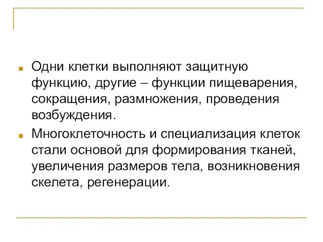 Одни клетки выполняют защитную функцию, другие – функции пищеварения, сокращения, размножения, проведения