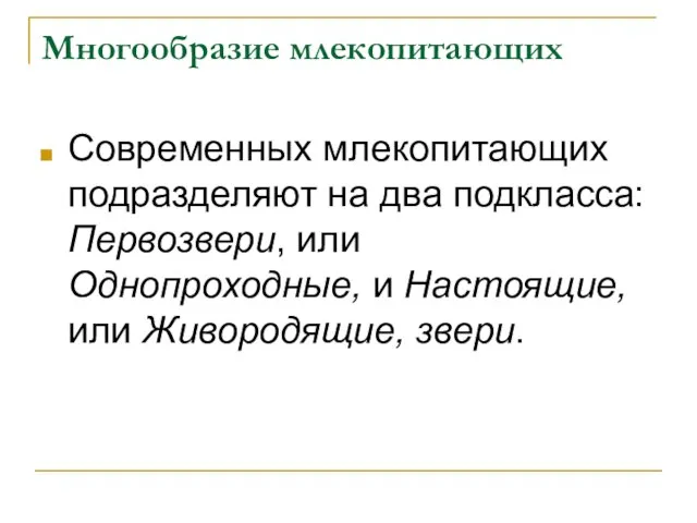 Многообразие млекопитающих Современных млекопитающих подразделяют на два подкласса: Первозвери, или Однопроходные, и Настоящие, или Живородящие, звери.