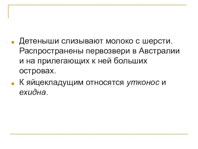 Детеныши слизывают молоко с шерсти. Распространены первозвери в Австралии и на прилегающих