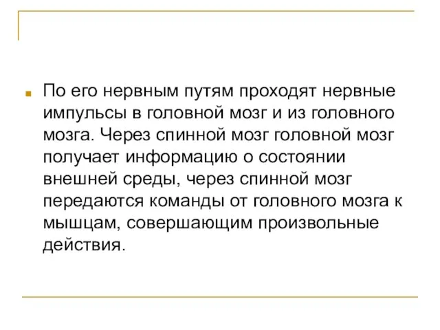 По его нервным путям проходят нервные импульсы в головной мозг и из