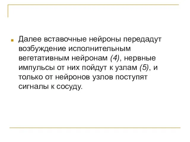 Далее вставочные нейроны передадут возбуждение исполнительным вегетативным нейронам (4), нервные импульсы от