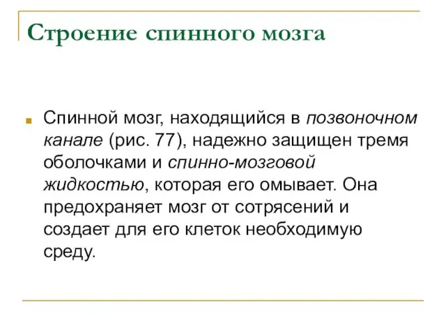 Строение спинного мозга Спинной мозг, находящийся в позвоночном канале (рис. 77), надежно