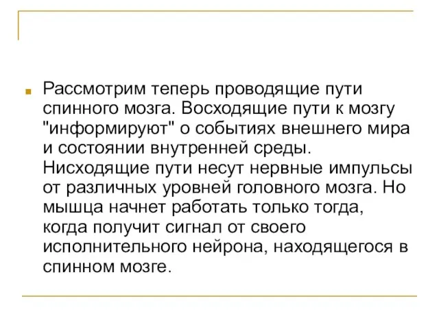 Рассмотрим теперь проводящие пути спинного мозга. Восходящие пути к мозгу "информируют" о