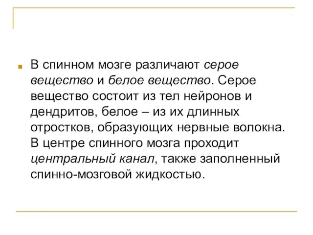 В спинном мозге различают серое вещество и белое вещество. Серое вещество состоит