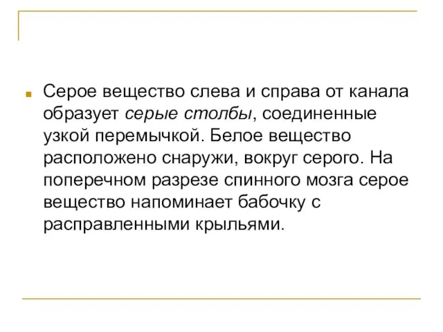 Серое вещество слева и справа от канала образует серые столбы, соединенные узкой