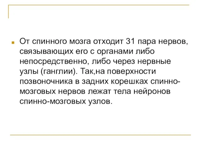 От спинного мозга отходит 31 пара нервов, связывающих его с органами либо