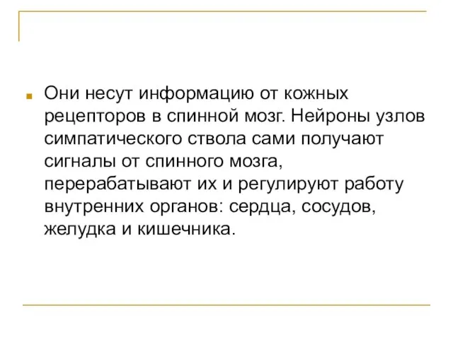 Они несут информацию от кожных рецепторов в спинной мозг. Нейроны узлов симпатического