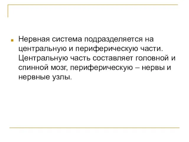 Нервная система подразделяется на центральную и периферическую части. Центральную часть составляет головной