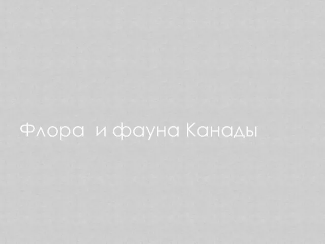 Флора и фауна Канады