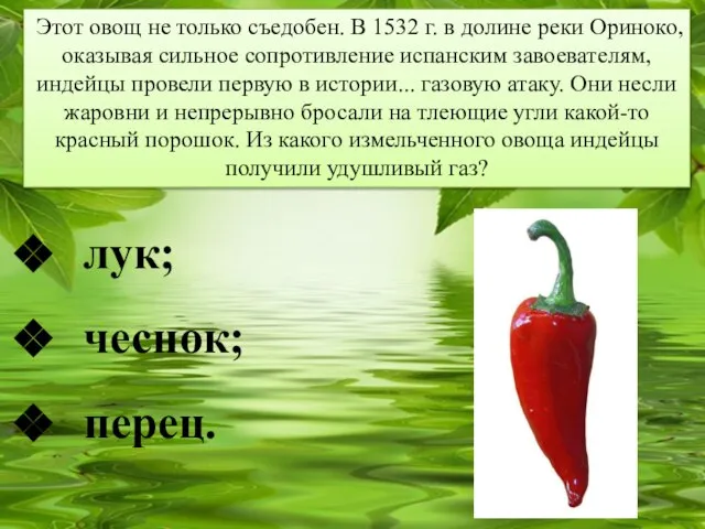 Этот овощ не только съедобен. В 1532 г. в долине реки Ориноко,