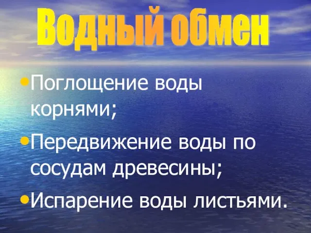 Поглощение воды корнями; Передвижение воды по сосудам древесины; Испарение воды листьями. Водный обмен