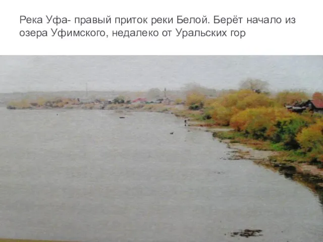 Река Уфа- правый приток реки Белой. Берёт начало из озера Уфимского, недалеко от Уральских гор