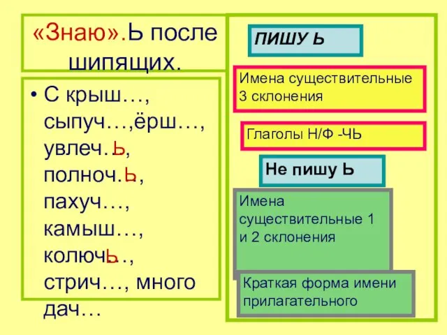 «Знаю».Ь после шипящих. С крыш…, сыпуч…,ёрш…, увлеч…, полноч…,пахуч…, камыш…, колюч…, стрич…, много