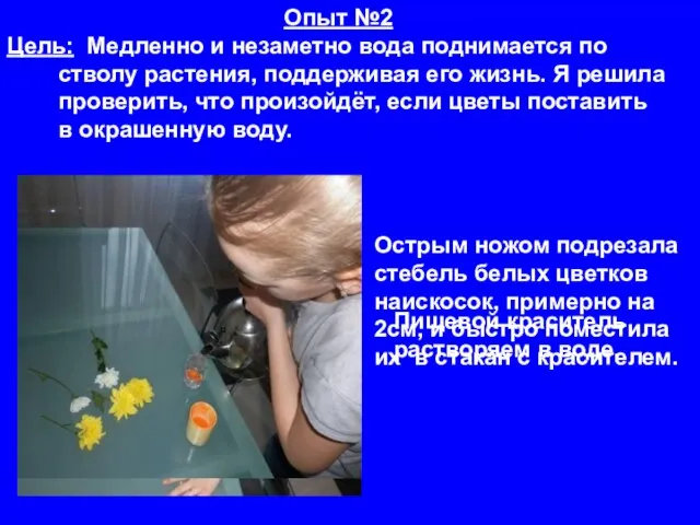 Острым ножом подрезала стебель белых цветков наискосок, примерно на 2см, и быстро