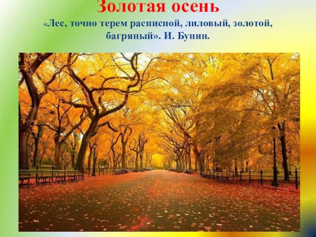 Золотая осень «Лес, точно терем расписной, лиловый, золотой, багряный». И. Бунин.