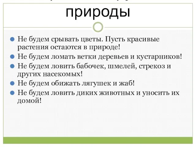 Правила друзей природы Не будем срывать цветы. Пусть красивые растения остаются в