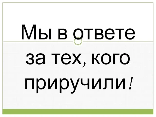 Мы в ответе за тех, кого приручили!