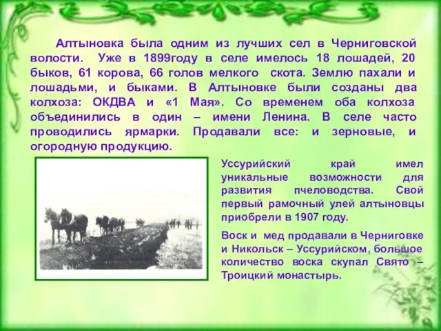 Алтыновка была одним из лучших сел в Черниговской волости. Уже в 1899году