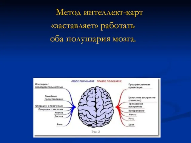 Метод интеллект-карт «заставляет» работать оба полушария мозга.