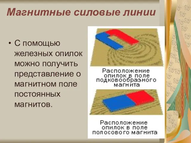 Магнитные силовые линии С помощью железных опилок можно получить представление о магнитном поле постоянных магнитов.