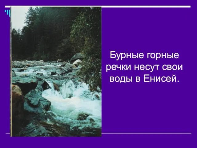 Бурные горные речки несут свои воды в Енисей.