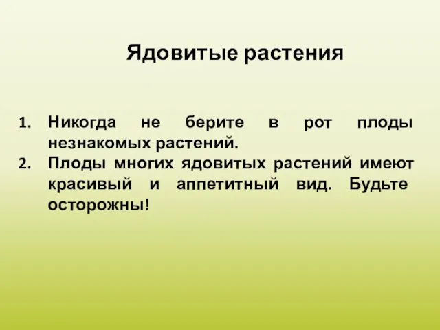 Никогда не берите в рот плоды незнакомых растений. Плоды многих ядовитых растений