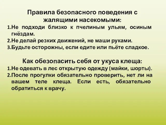 Правила безопасного поведения с жалящими насекомыми: Не подходи близко к пчелиным ульям,