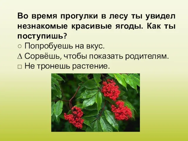 Во время прогулки в лесу ты увидел незнакомые красивые ягоды. Как ты