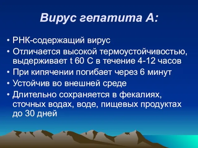 Вирус гепатита А: РНК-содержащий вирус Отличается высокой термоустойчивостью, выдерживает t 60 С