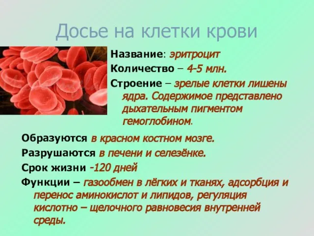 Досье на клетки крови Название: эритроцит Количество – 4-5 млн. Строение –