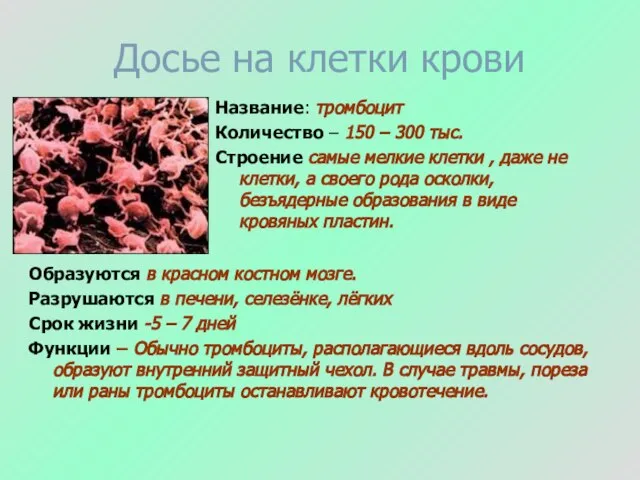 Досье на клетки крови Название: тромбоцит Количество – 150 – 300 тыс.