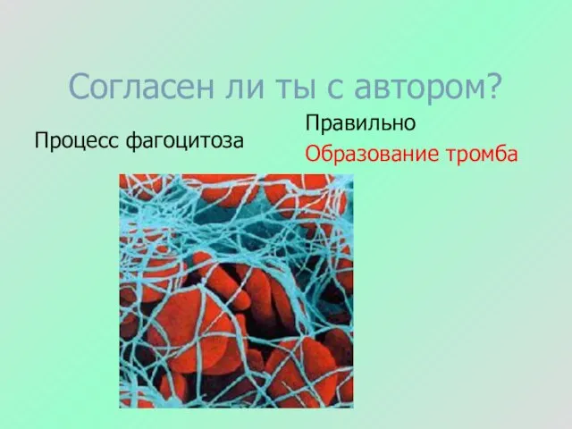 Согласен ли ты с автором? Процесс фагоцитоза Правильно Образование тромба