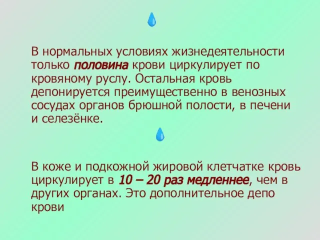 ? В нормальных условиях жизнедеятельности только половина крови циркулирует по кровяному руслу.