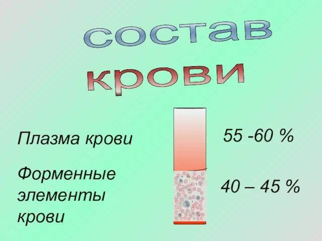 состав крови Плазма крови Форменные элементы крови 55 -60 % 40 – 45 %