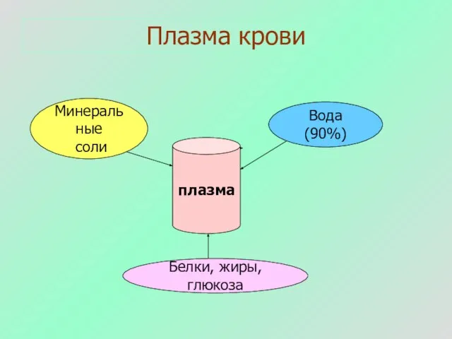 Плазма крови Вода (90%) Минеральные соли Белки, жиры, глюкоза плазма