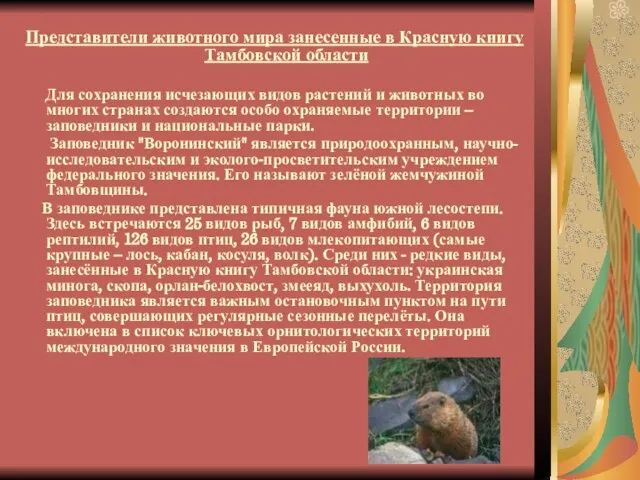Представители животного мира занесенные в Красную книгу Тамбовской области Для сохранения исчезающих