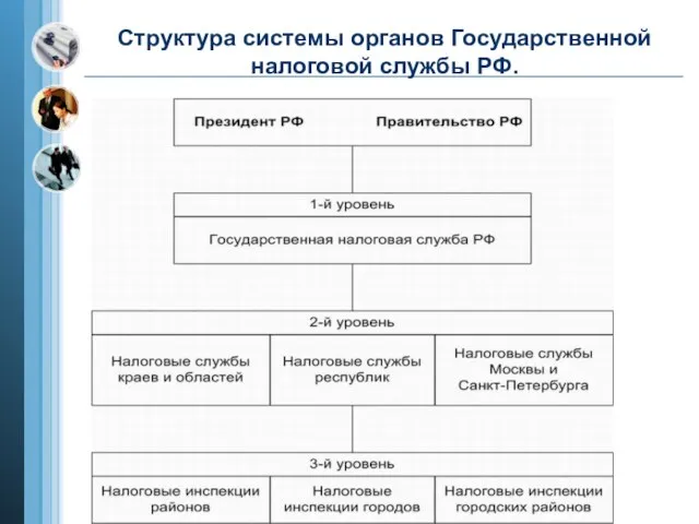 Структура системы органов Государственной налоговой службы РФ.
