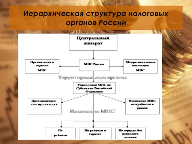 Иерархическая структура налоговых органов России
