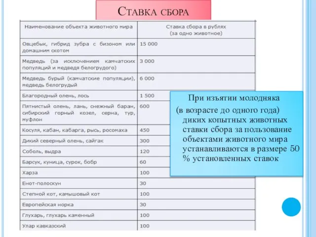 Ставка сбора При изъятии молодняка (в возрасте до одного года) диких копытных