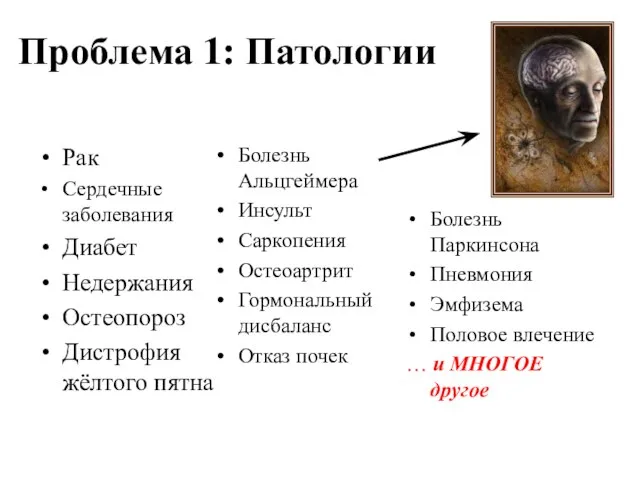 Проблема 1: Патологии Болезнь Альцгеймера Инсульт Саркопения Остеоартрит Гормональный дисбаланс Отказ почек