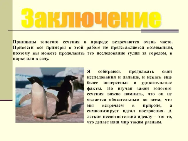 Заключение Принципы золотого сечения в природе встречаются очень часто. Привести все примеры